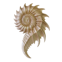 Sculpted Wood Relief